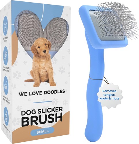 Love doodles dog - we,