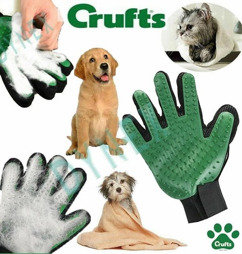 Crufts new dog - crufts,